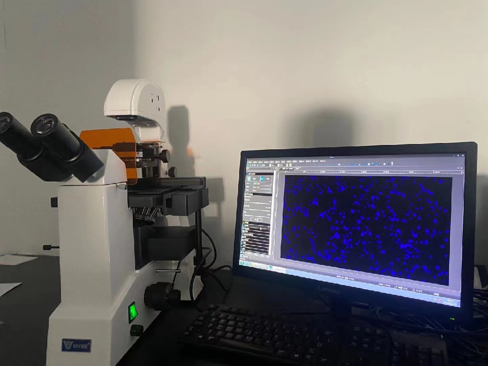 1667454683205161.png 1667454683205161.png