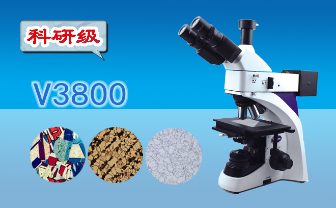 1730943178115245.png 金相顯微鏡.png